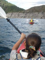 Curso de Superviviencia